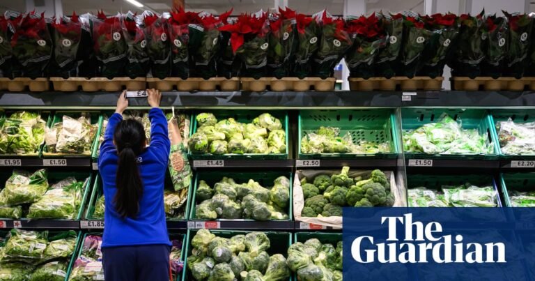 Britain ‘sleepwalking into a food crisis’ without urgent action, experts say | Environment