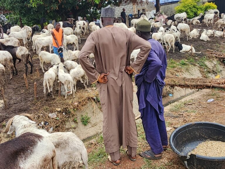 Cost of living crisis reshapes Eid spending in Nigeria | Business and Economy News Cost of living crisis reshapes Eid spending in Nigeria | Business and Economy News