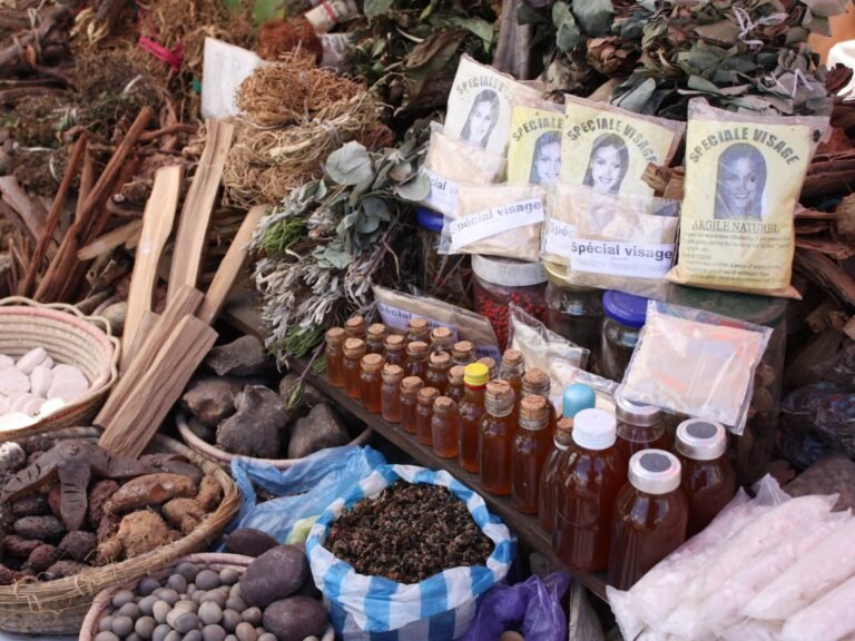 How Nigeria’s ‘algorithmic apothecary’ fuels a surge in risky herbal cures | Health News
