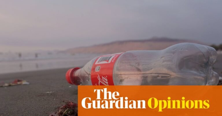 How the plastic bottle cap became a parable for the value of EU regulation | Alberto Alemanno
