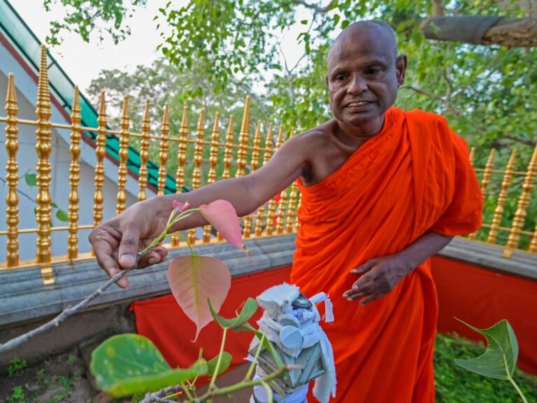 Senior Sri Lankan monk suspended over child sex abuse allegation | Crime News