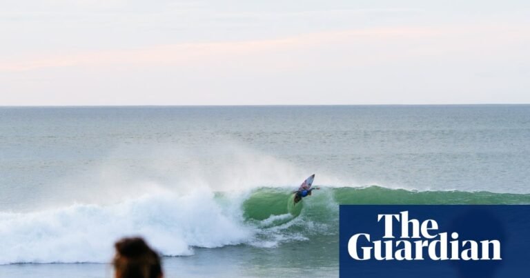 WSL event in New Zealand put on hold after Australian photographer bitten by ‘shark or a sea lion’ | Surfing WSL event in New Zealand put on hold after Australian photographer bitten by ‘shark or a sea lion’ | Surfing