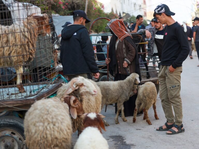 ‘No livestock but still hope’: Palestinians prepare for Eid al-Adha in Gaza | Israel-Palestine conflict News ‘No livestock but still hope’: Palestinians prepare for Eid al-Adha in Gaza | Israel-Palestine conflict News