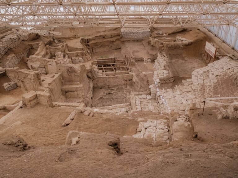 Archaeologists find ancient matrilineal society in Turkiye’s Catalhoyuk | History