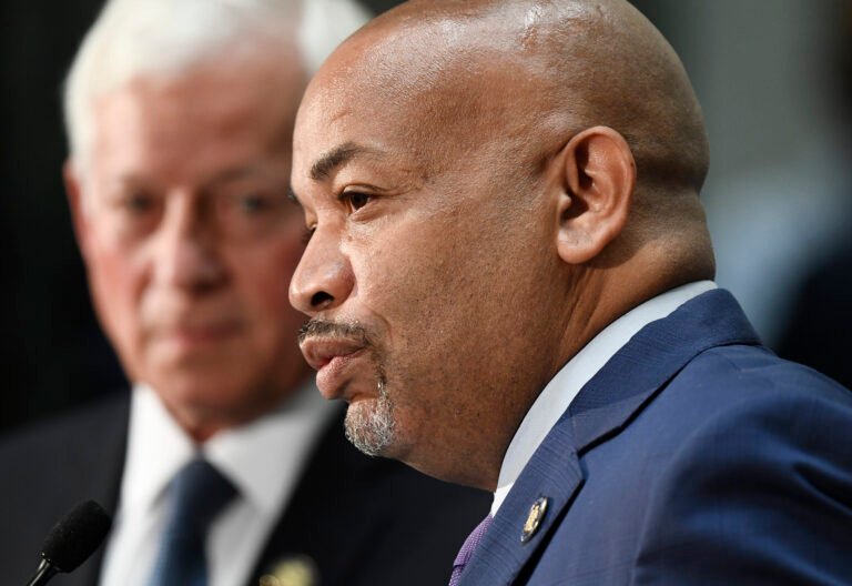 Democrats seek more control over referenda in New York New York Assembly Speaker Carl Heastie said they don't have to