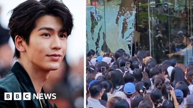 Fans break glass door trying to see Netflix star
