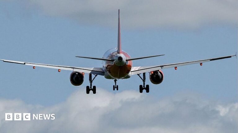 Gatwick campaigners look to appeal after runway fight fails A passenger jet prepares to land at London Gatwick, near Crawley, on 20 April 2026. It is seen against a pale blue sky with fluffy clouds. The wheels are down for landing.
