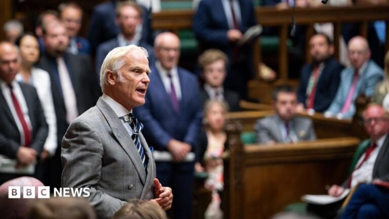 Sir Desmond Swayne MP (New Forest West, Conservative) speaking in House of Commons