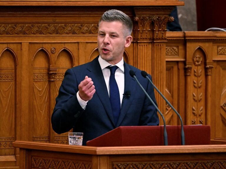 Hungary’s Magyar to amend the constitution to remove President Tamas Sulyok | News