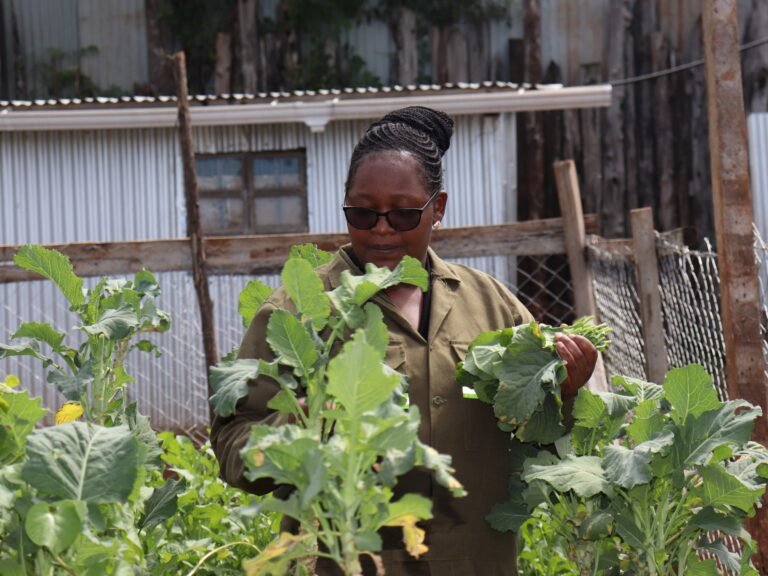 Kenyan graduates turn to AI tools for farming as jobs dry up | Agriculture News Kenyan graduates turn to AI tools for farming as jobs dry up | Agriculture News