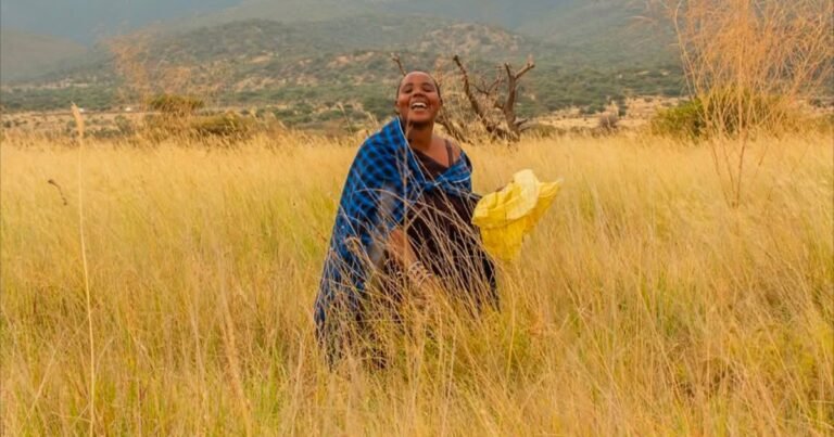 Maasai women turn drought into income through fodder farming in Tanzania | Agriculture News Maasai women turn drought into income through fodder farming in Tanzania | Agriculture News