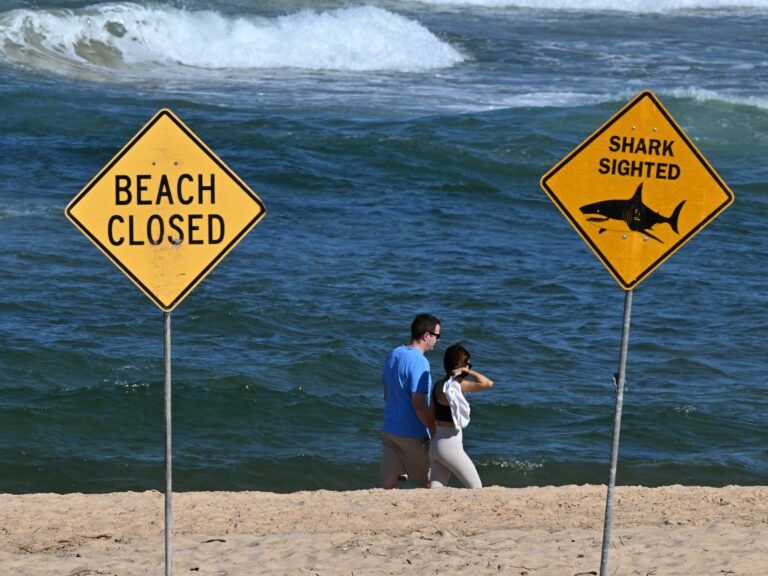 Man dies in Western Australia after shark attack | News