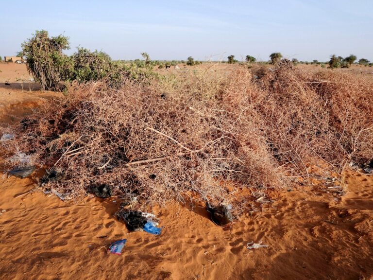 Rights group says drone strike kills 11 in central Sudan market | Sudan war News Rights group says drone strike kills 11 in central Sudan market | Sudan war News