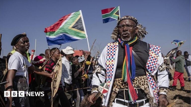 Hundreds of protesters marching outdoors, chanting and holding south african flags and signs