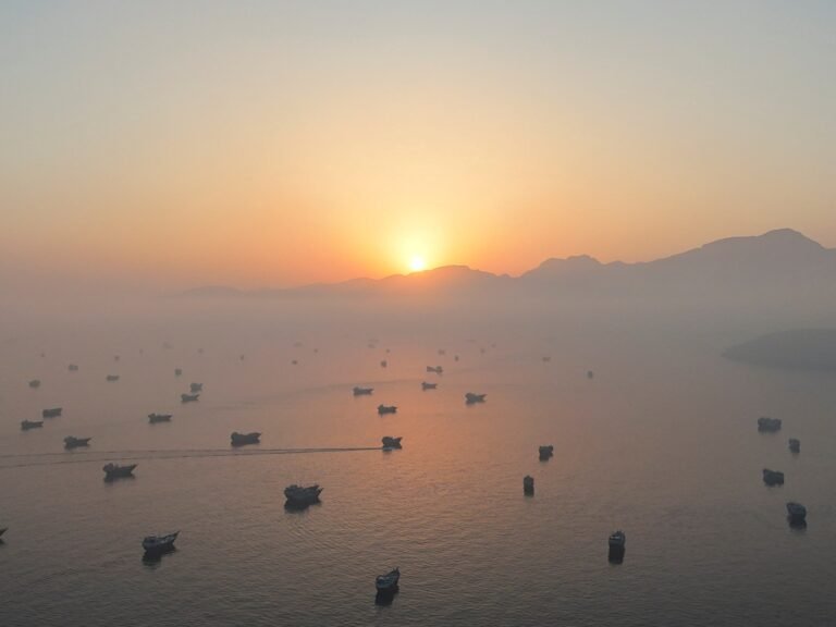 Trump says ships ‘starting to move’ through Strait of Hormuz | Donald Trump News