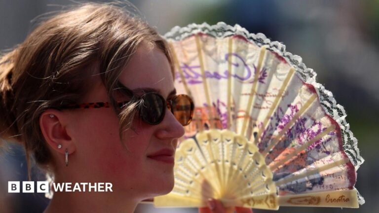 Woman in sunglasses holds a fan
