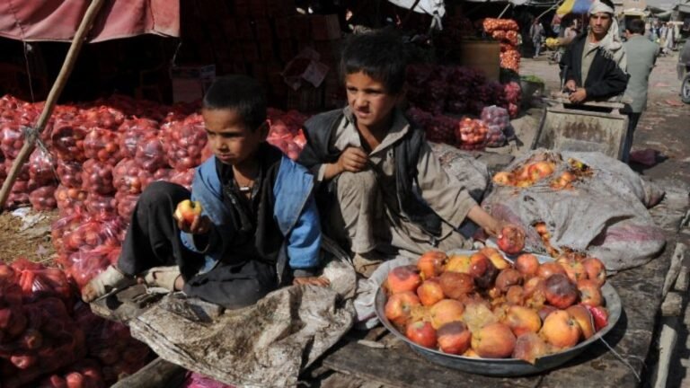 What Afghanistan’s rotten apples tell us about its non-profit sector | Poverty and Development What Afghanistan’s rotten apples tell us about its non-profit sector | Poverty and Development