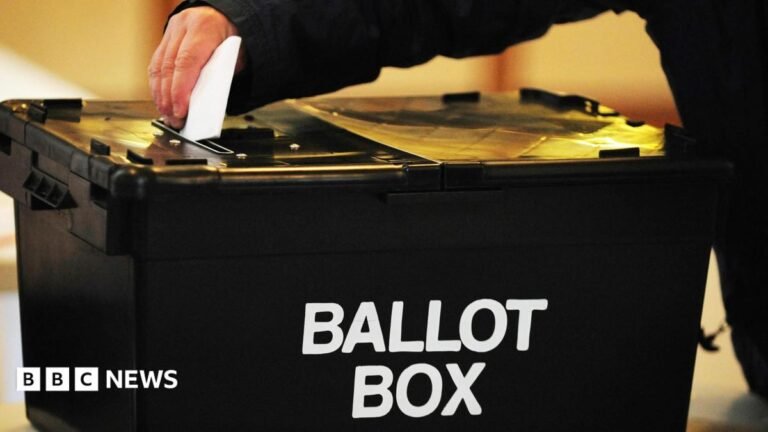 A bin, two foxes and a mystic: the candidates fighting Clacton A hand places a ballot paper into a black ballot box.