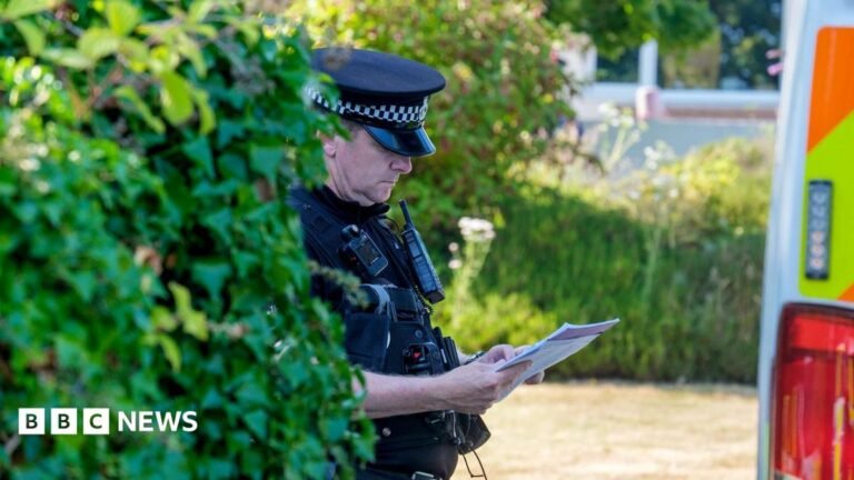 Ann Widdecombe murder probe: What we know so far A police officer looks down at a sheert of paper while wearing uniform next to a bush and police van outside Widdecombe's home on Friday.