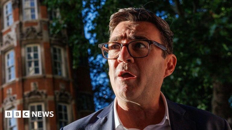 Burnham cements Labour leadership with backing of 349 MPs Andy Burnham, wearing a suit, white collared shirt and glasses. A red-brick building and a tree are in the background.
