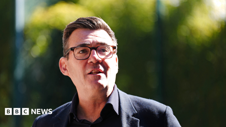 Burnham faces criticism over plans for mayors to get share of income tax Andy Burnham making a speech in Sheffield. He is wearing glasses and a dark suit jacket. There are trees in the background.