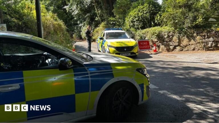 Chris Mason: Investigation into Widdecombe’s death rekindles debate over how to protect politicians Police cars stand in the village of Haytor