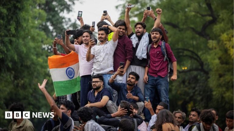 Dharmendra Pradhan, CJP: India’s ‘cockroach’ protest called off after education minister quits Abhijeet Dipke, head of the Cockroach Janta Party (CJP), celebrates with supporters who stand on an elevated platform holding their hands up in triumph