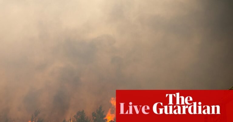 Europe wildfires: more than 300,000 flee homes and holiday accommodation in France and Spain as fires rage | Wildfires Europe wildfires: more than 300,000 flee homes and holiday accommodation in France and Spain as fires rage | Wildfires