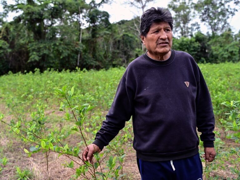 Evo Morales defiant after new Bolivia arrest warrant | News