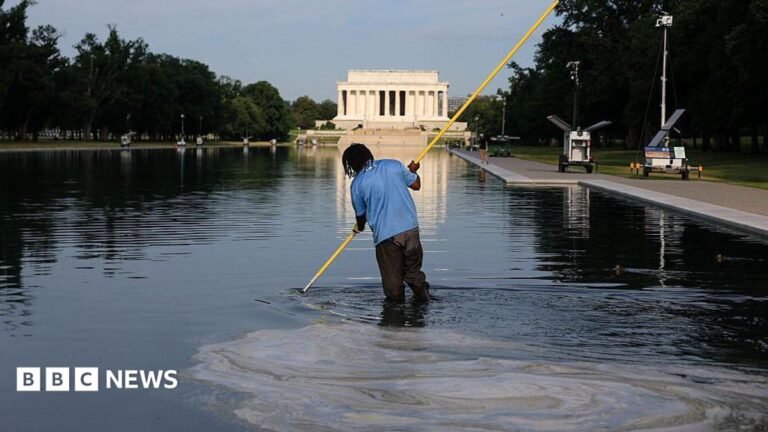 Former Olympian David hearn indicted for allegedly vandalising reflecting pool Workers clean the Lincoln Memorial Reflecting Pool on the National Mall on June 25, 2026 in Washington, DC.