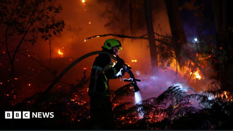 A firefighter works at the scene of a wildfire, in Andernos-les-Bains in the Gironde department, amongst worsening drought conditions following a heatwave and water shortages across much of France, July 26, 2026