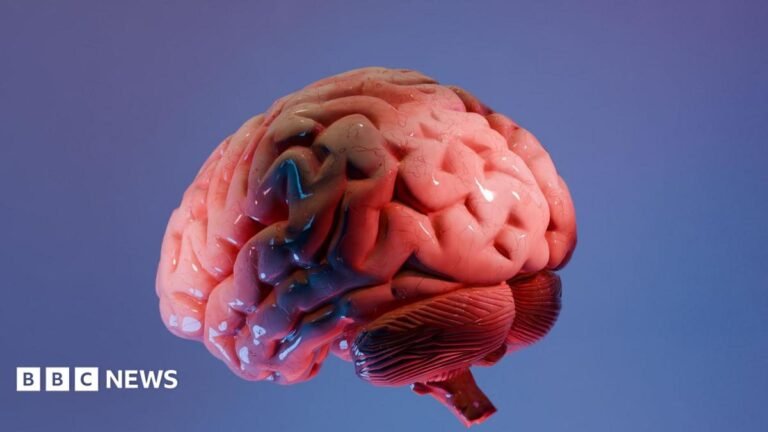 How Indian scientists are mapping the brain’s last frontier Amelia Lord is a white woman in her late 20s. She has shoulder length brown hair partly pulled back in a ponytail with frontpieces either side of her face. She has defined eyebrows and is wearing makeup, has a central nose ring and earrings, and is smiling at the camera. She wears a sleeveless black top. She is holding a pair of books and stands in front of a bookshelf with collections of books on it, including titles by Rebecca Yarros and the Harry Potter series by JK Rowling.