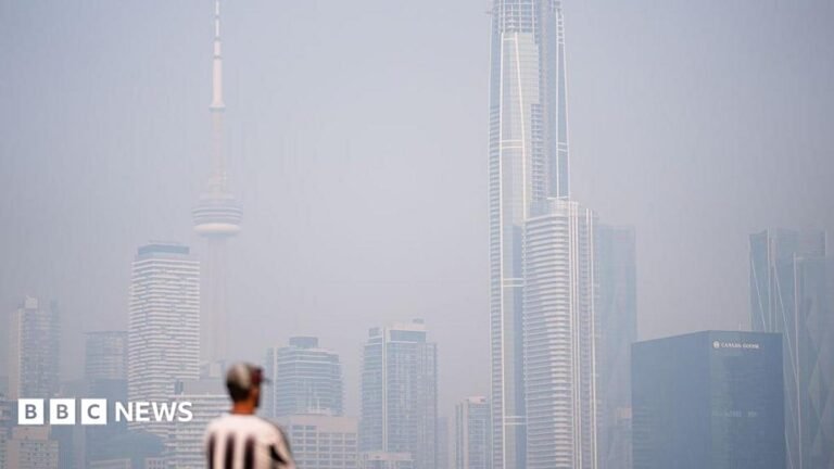 A man in a cap and a black and white vertical stripped shirt stands looking at a hazy Toronto skyline