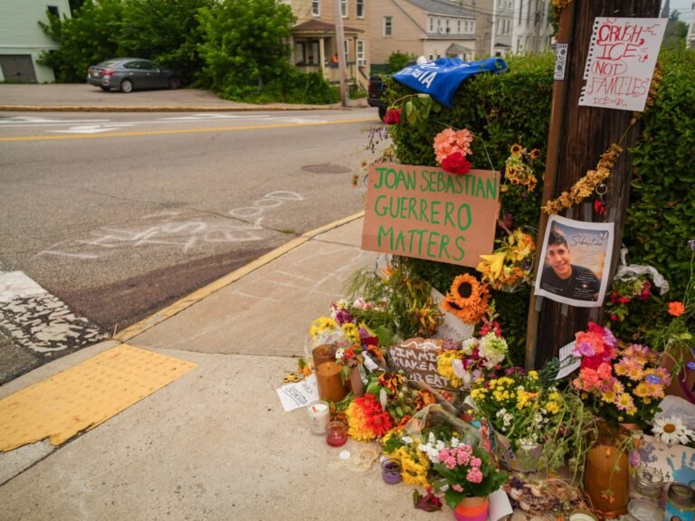 ICE agent behind fatal shooting in Maine reportedly had troubled history | Donald Trump News