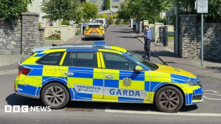 Jamey Carney: Irish police to engage with Jordanian counterparts in murder investigation A blue and yellow Garda (Irish police) car is parked sideways across the walled entrance to a housing estate on a bright sunny day. A male officer in a blue uniform stands close to the wall behind the car. There is another parked Garda car in the background. The estate contains a small number of large detached houses. Two yellow traffic cones are positioned on either side of the first patrol car.