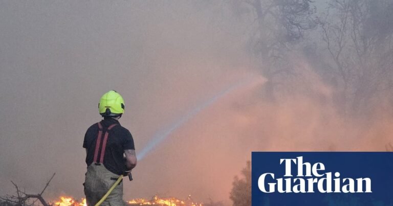 Major incident declared in Suffolk as 90 firefighters tackle wildfire on heathland | Suffolk Major incident declared in Suffolk as 90 firefighters tackle wildfire on heathland | Suffolk