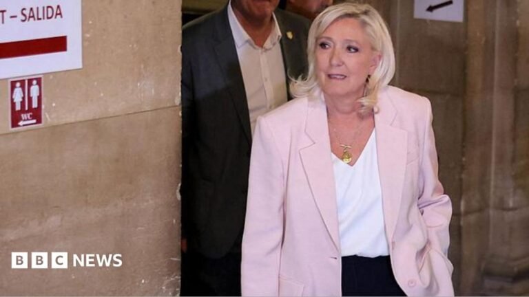 Marine Le Pen to run for French presidency and appeal conviction in top court President of far-right party Rassemblement National (RN) parliamentary group Marine Le Pen arrives to attend the verdict in the appeal trial of RN former or actual members on charges of embezzlement