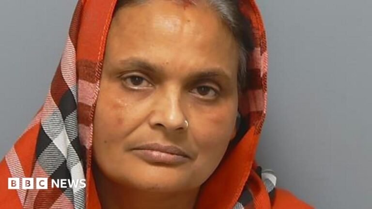 Mother of Henry Nowak’s killer jailed for removing weapon Mugshot of Vickrum Digwa