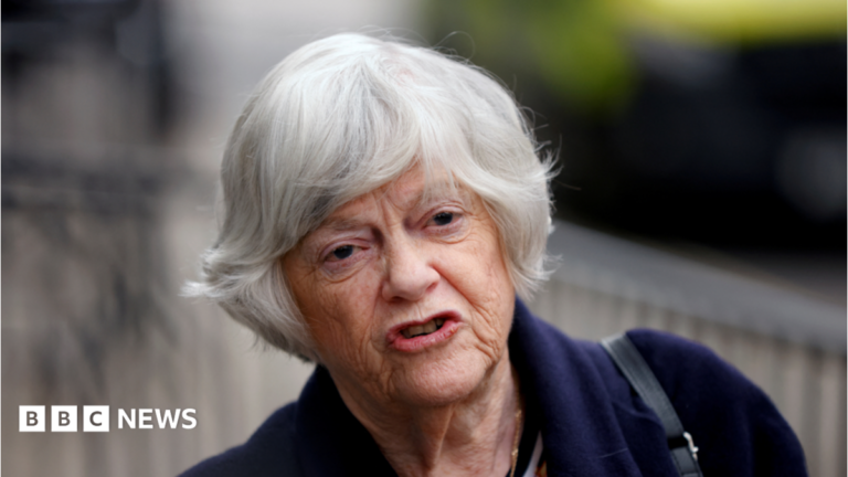 Murder investigation launched into death of Ann Widdecombe Former British member of Parliament Ann Widdecombe reads out a statement in relation to the murder trial of the late British lawmaker David Amess, following the sentencing of Ali Harbi Ali outside the Old Bailey in London, Britain April 13, 2022