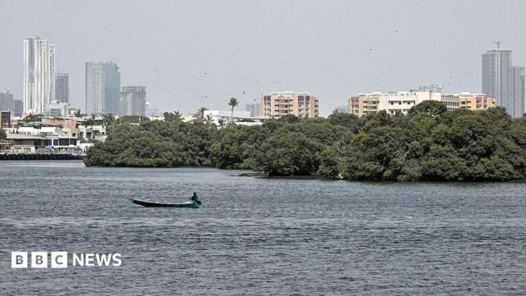 A fisherman casts his net into the Arabian sea in Karachi