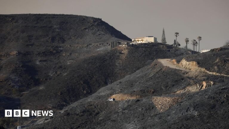 Seven Britons among those killed in Spain wildfires A woman with dark hair pulled back from her face points to a plaster on her arm