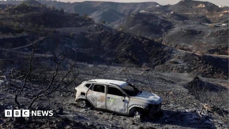 Spain battles to contain one of its deadliest wildfires as at least 12 killed A care destroyed by fire sits among burnt vegetation during deadly wildfires affecting Almeria province