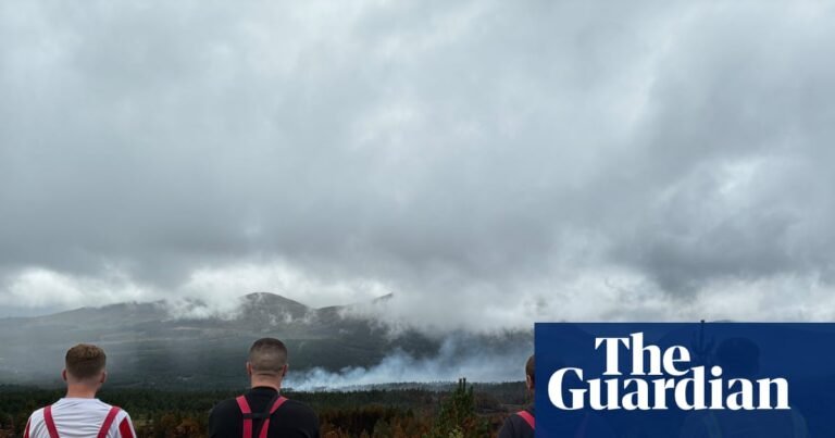 Swathes of Cairngorms unrecognisable after 12 days of ‘cataclysmic’ wildfires | Wildfires
