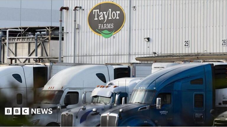 Test that found source of US explosive diarrhoea outbreak was false positive, health officials say View of Taylor Farms building with trucks in front of it