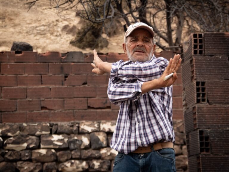 Tunisian wildfires expose failing infrastructure, community vulnerabilities | Agriculture