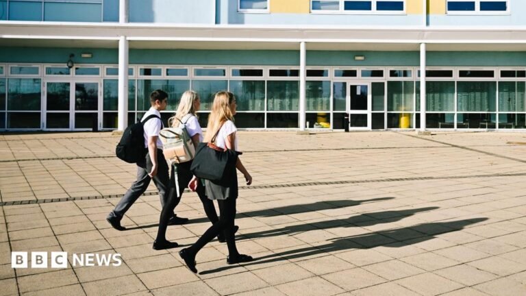 All schools to get pupil attendance targets, government says CBeebies Parenting