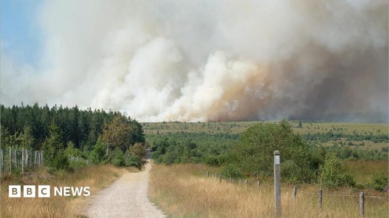 A plume of smoke rises into the sky during a wildfire in the Hautes Fagnes (High Fens) nature reserve in Belgium