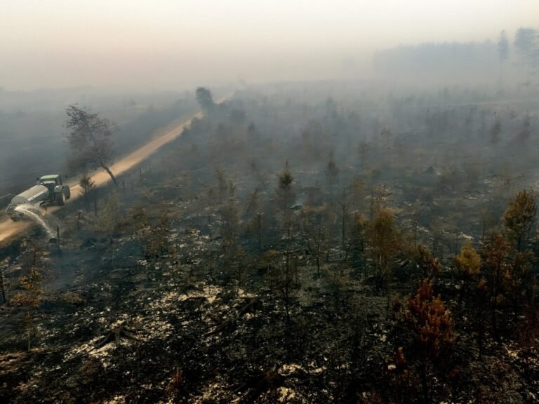 Belgium’s largest wildfire on record spreads towards German border | Climate News
