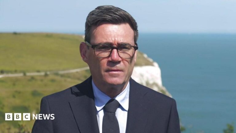 Burnham pledges to be ‘relentless’ in curbing small boat crossings A mother and son pose for a selfie. They are both smiling with the tops of their heads touching. They are standing on a viewpoint, with a canopy of trees and an ocean view far below them.