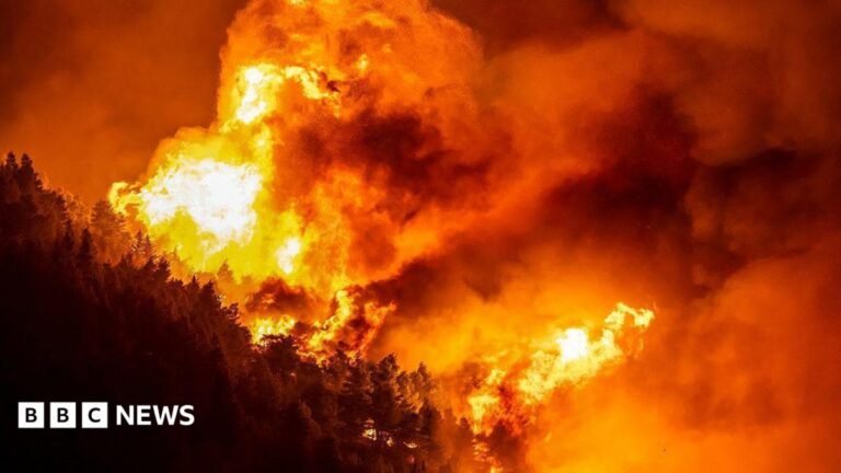 Dozens injured and thousands evacuated in Croatia wildfire A wooden area is enfulfed in flames during a raging wildfire near the town of Omiš